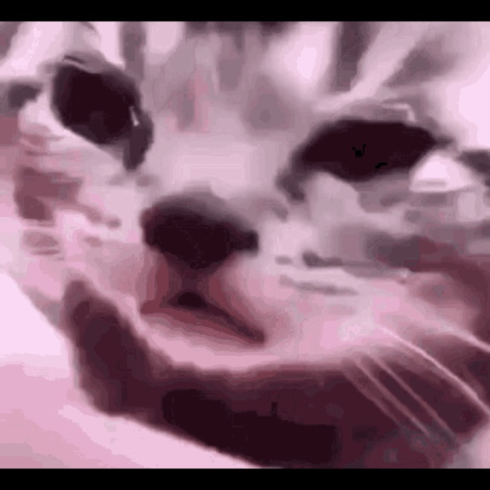 Meet your Posher, Saania